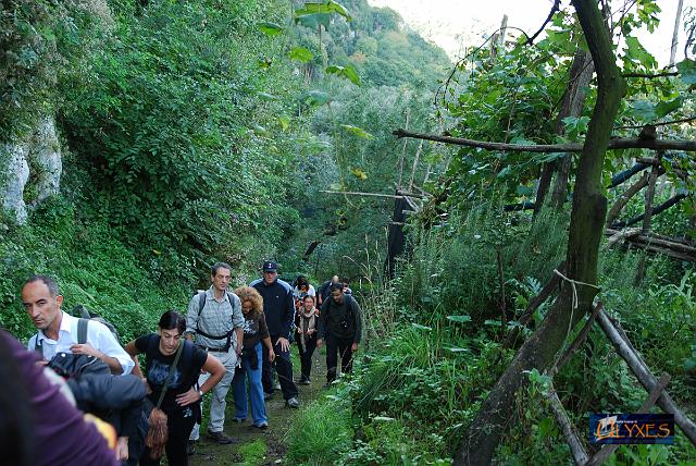 attraversando il verde.JPG